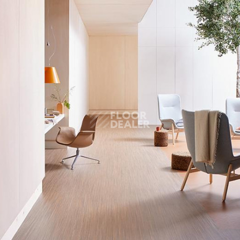 Forbo Marmoleum Decibel on Order 525435 red horse фото 2 | FLOORDEALER